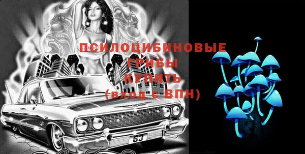 тгк Зеленокумск