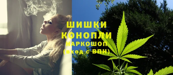 spice Зерноград