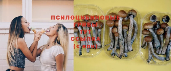 spice Зерноград