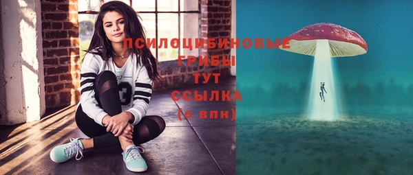 spice Зерноград