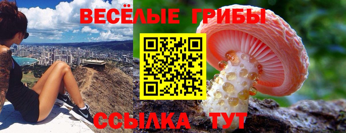 Псилоцибиновые грибы ЛСД Снежинск