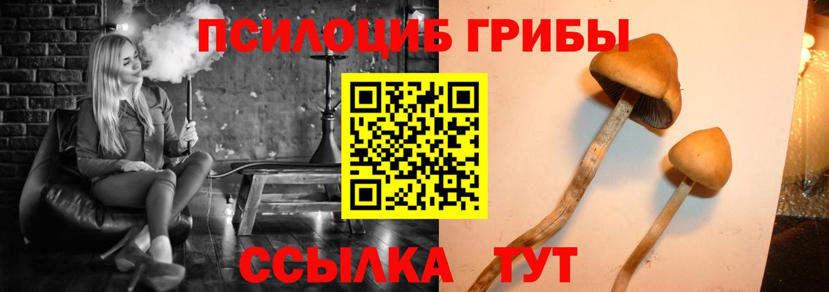 Псилоцибиновые грибы Psilocybe  Вход с VPN  Снежинск 